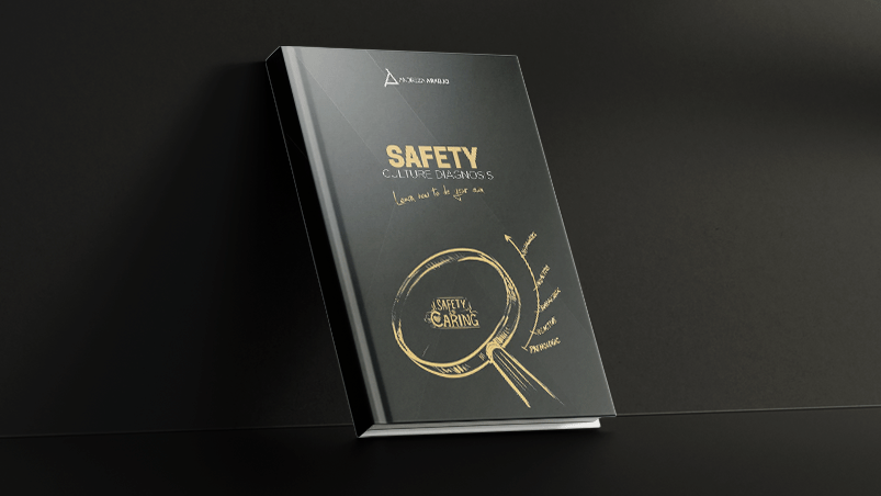 Safety Culture Diagnosis: Learn how to do your own