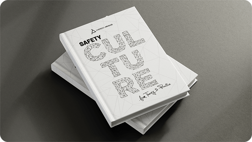 Safety Culture: From Theory To Pratice